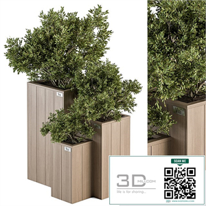 Outdoor Plant Set 298 - Wooden Plant Box