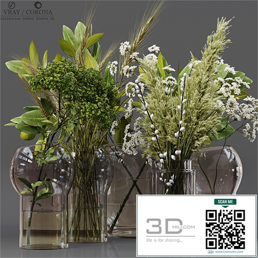 Collection Indoor Plants 06