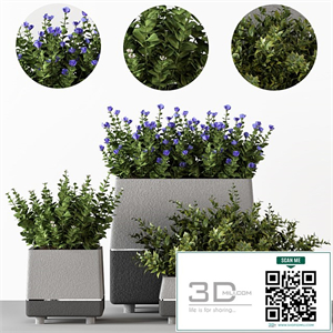Outdoor-bushes in concrete pots