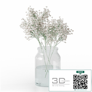 Gypsophila bouquet