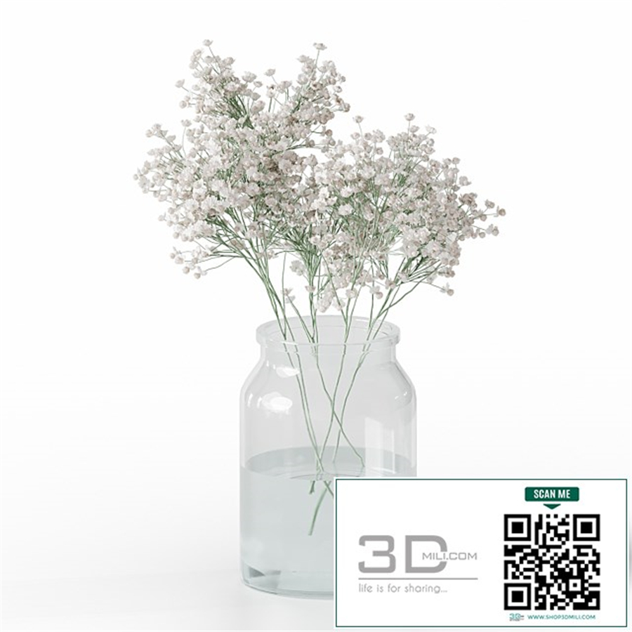 Gypsophila bouquet