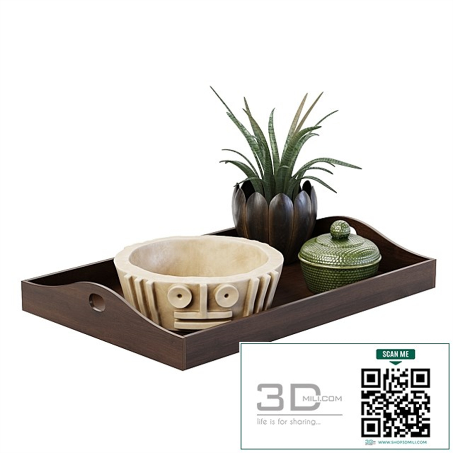 Tray with Decor
