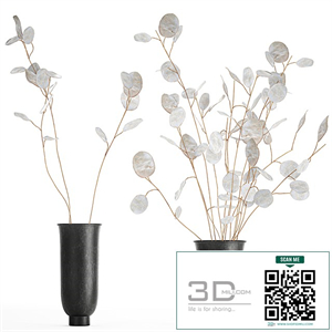 A bouquet of dried flowers in a black vase with branches of a dry Lunnik. 178.