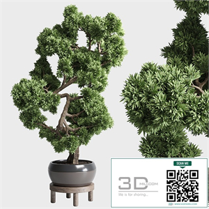 indoor outdoor plants 134 pots tree bonsai