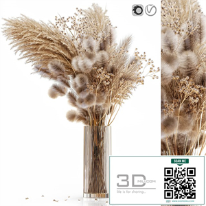 Dry flowers in modern vase 3