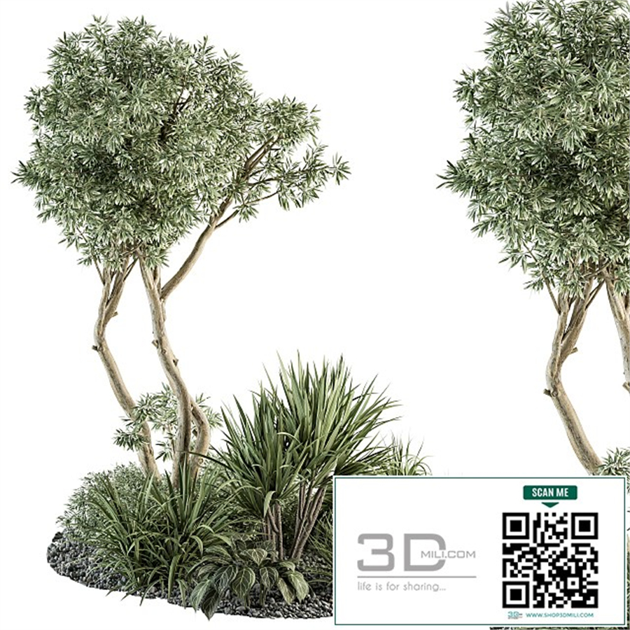 Needle tree and Bush - Outdoor Garden Set 305