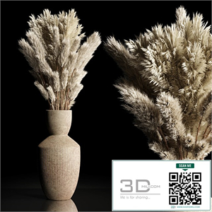 Dry Plants Bouquet Indoor concrete vase