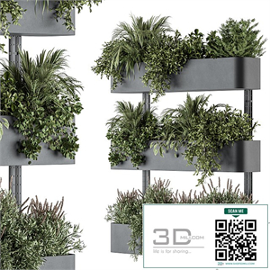 Indoor Plant Set 306 - Box Stand with Hanging Plants