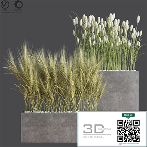 Indoor Plant Set 66