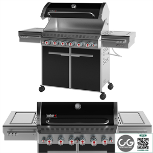 Outdoor Gas Grill