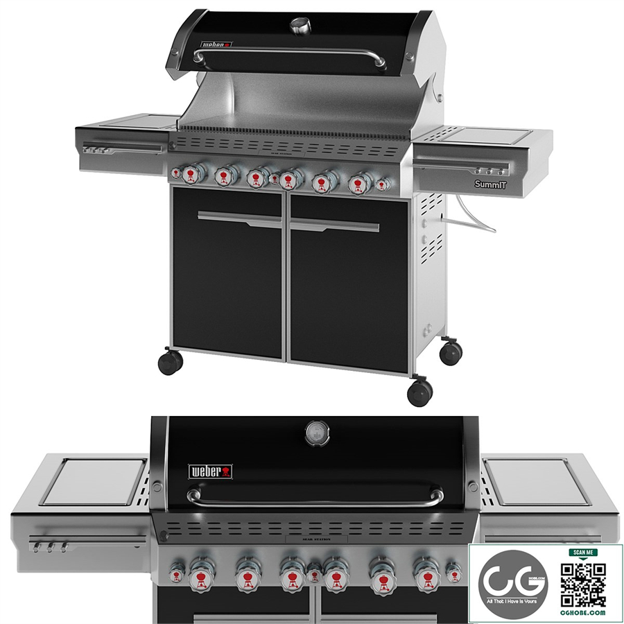 Outdoor Gas Grill