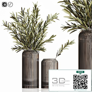 Olives in vases 3