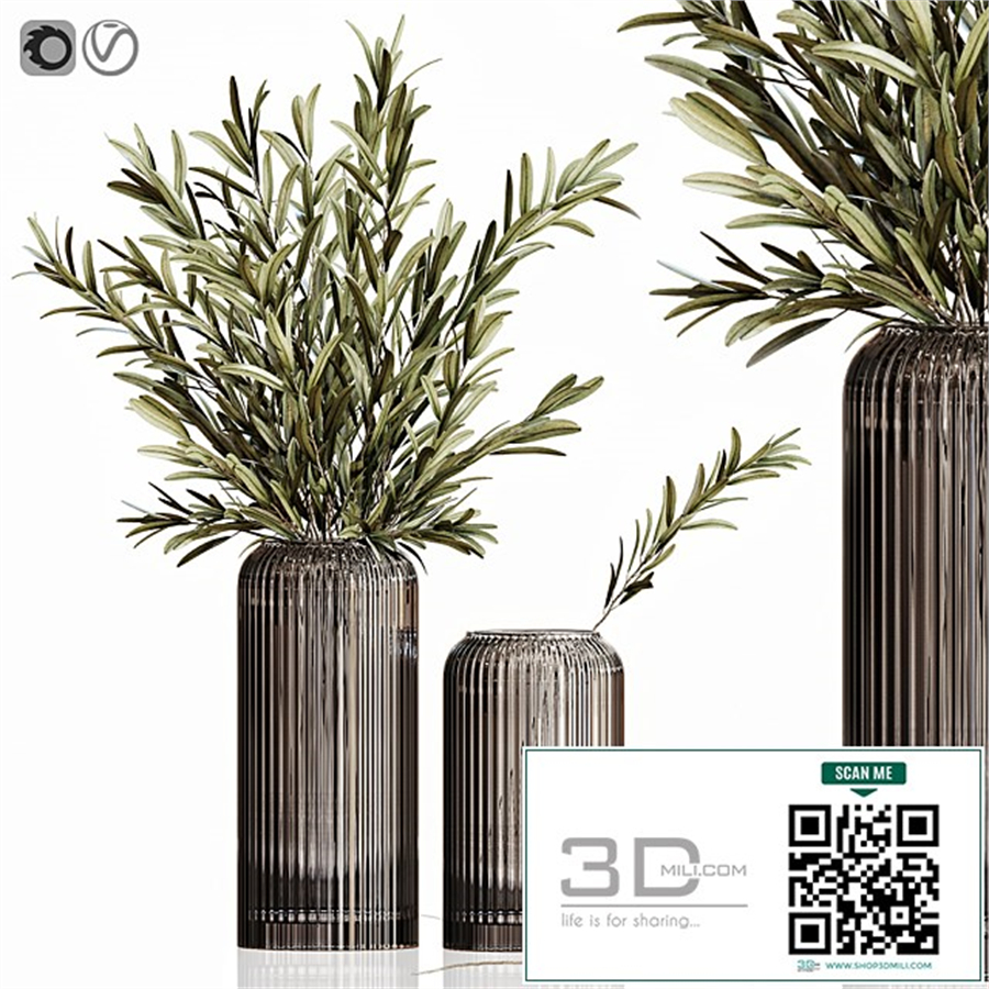 Olives in vases 3