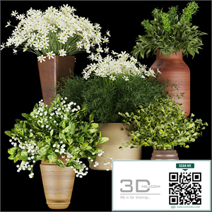 Collection plant vol 262 - Bouquet - flower