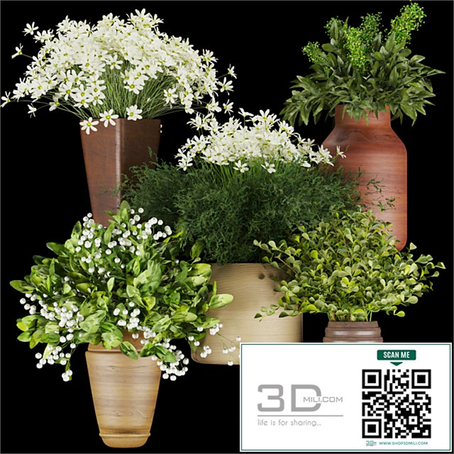 Collection plant vol 262 - Bouquet - flower
