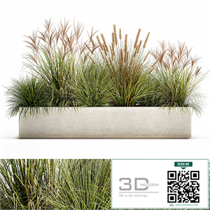 Collection of plants in a pot Pampas grass, reeds, flowerbed, landscaping, bushes. Set 1074.