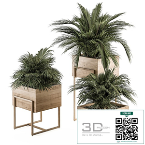 indoor Plant Set 318 - Plant Set in Wood Box