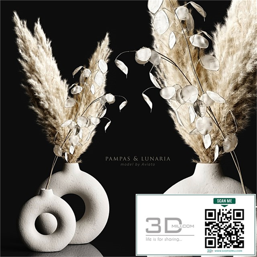 Pampas & lunaria