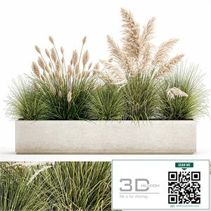Collection of plants in a pot Pampas grass, reeds, bushes, landscape design, white, flowerbed. Set 1077