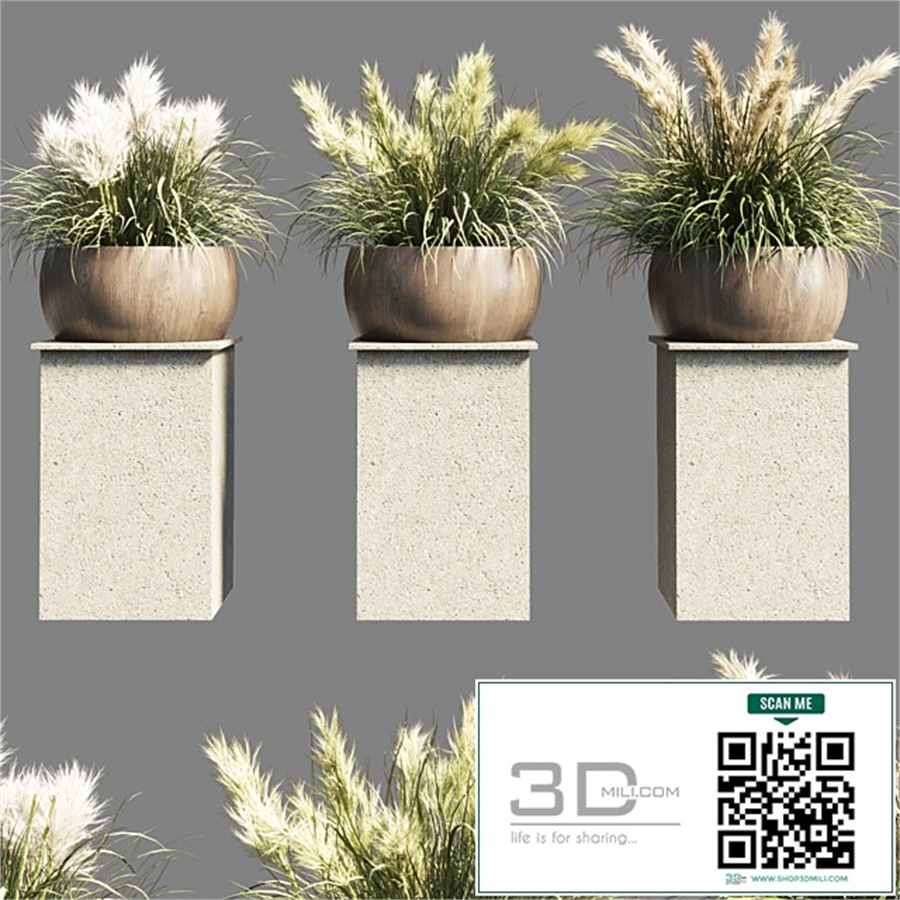 Collection outdoor indoor 70 pot palnt grass the dry pampas stand vase wooden