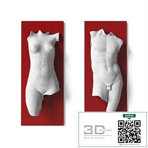 Man and woman torso wall panel