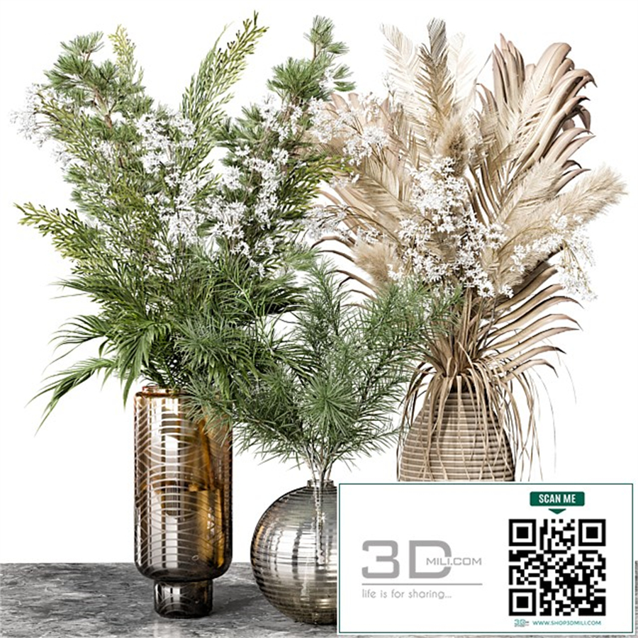 Indoor Plant 04