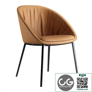 Dan Dining Chair Draenert