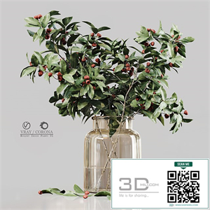 Bouquet Indoor Plants 01