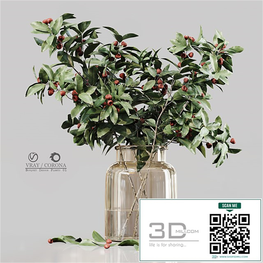 Bouquet Indoor Plants 01