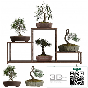 Bonsai set