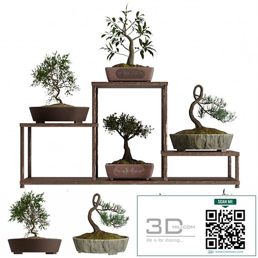 Bonsai set