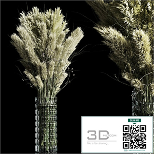 Dry Plants pampas Bouquet Indoor glass vase