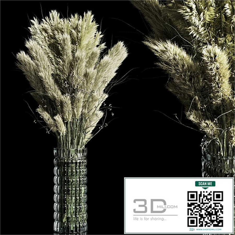 Dry Plants pampas Bouquet Indoor glass vase