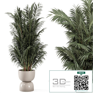 Indoor Plants in rusty Concrete Pot - Set 352