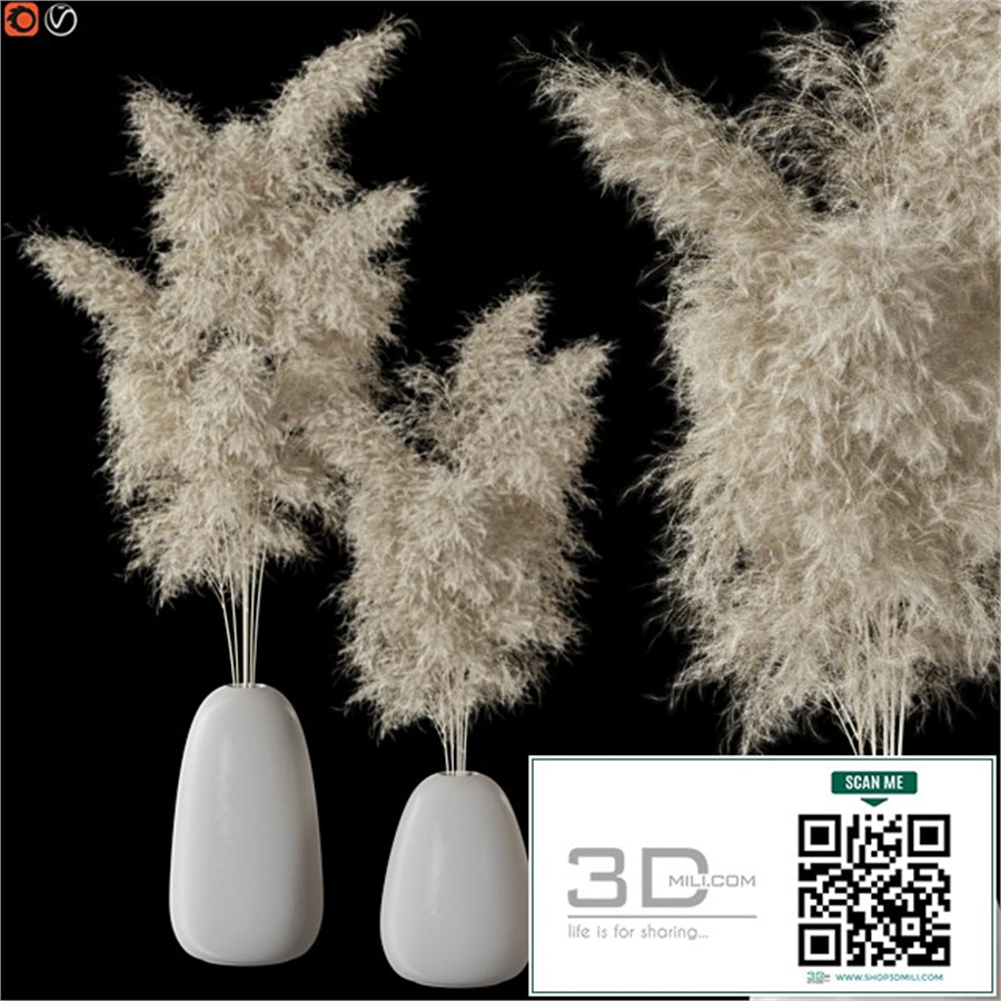 Decorative Pampas
