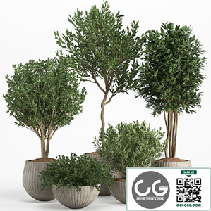 indoor plant set 11