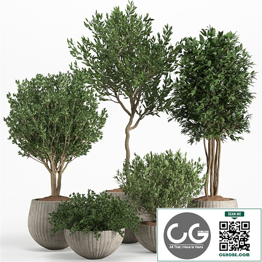 indoor plant set 11