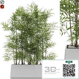 Plants collection 615