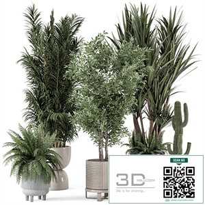 Indoor Plants in Ferm Living Bau Pot Large - Set 362