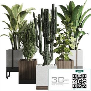 Plant box_Indoor outdoor plant 163 wooden and concrete dirt vase box pot palm cactus Collection