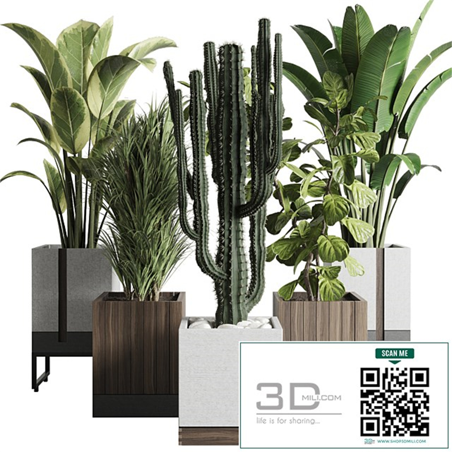 Plant box_Indoor outdoor plant 163 wooden and concrete dirt vase box pot palm cactus Collection