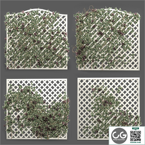 ivy grid panel( 4 different ivy composition)