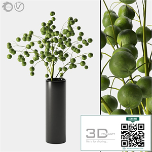 plant indoor 05