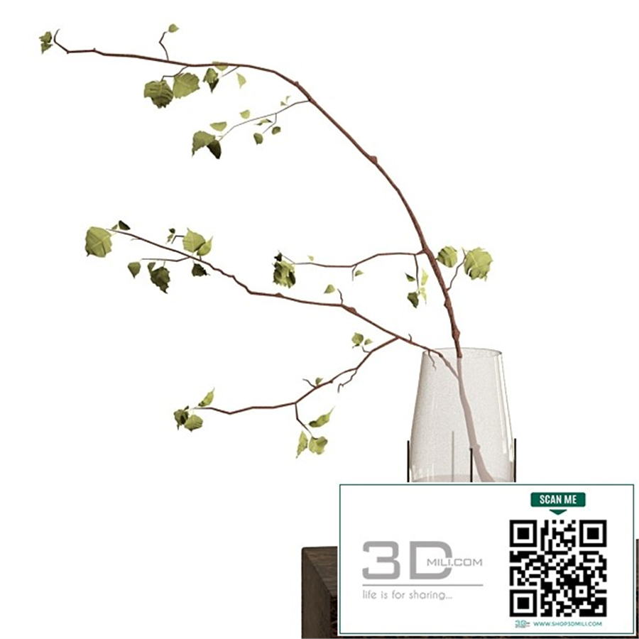Branch in a vase