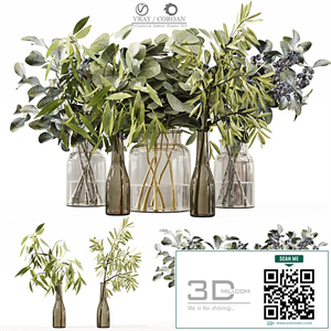 Collection Indoor Plants 013