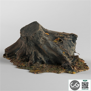 Stump
