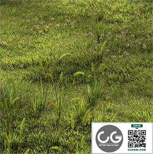 Grass vol01
