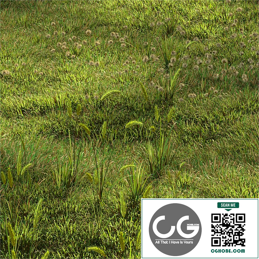 Grass vol01