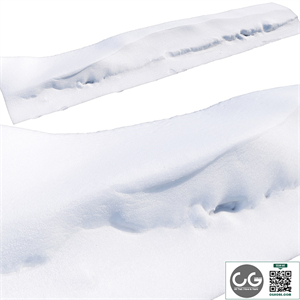 Snowdrift