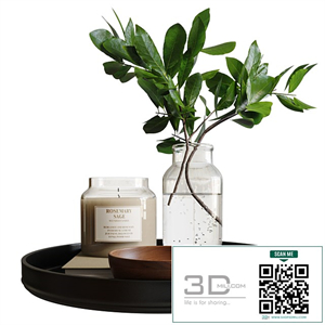 Decorative set with branch